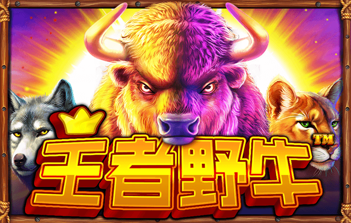爱游戏手机登录